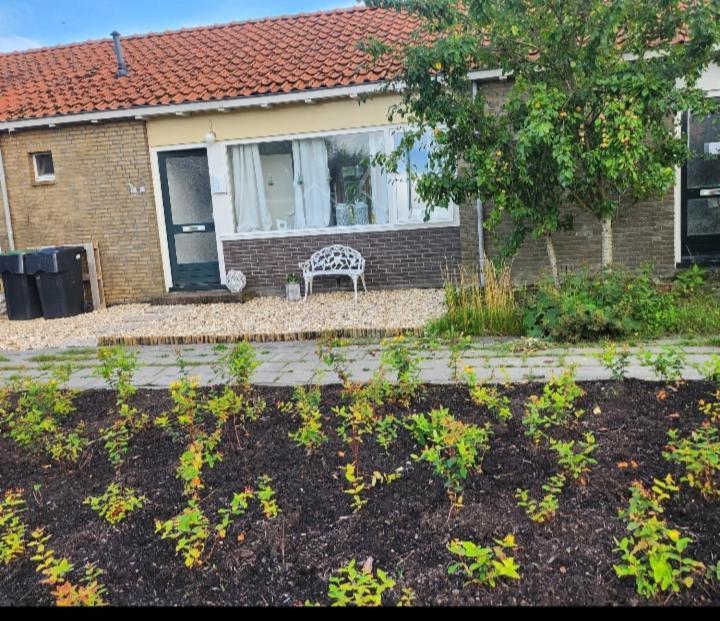 In Het Mooie Friesland Vele Bezienswaardigheden Hantum Ngoại thất bức ảnh